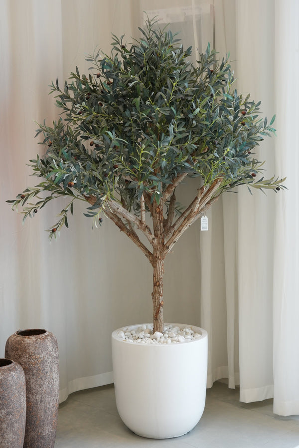Eterna Olive Luxe