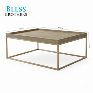 Daniela Coffee Table