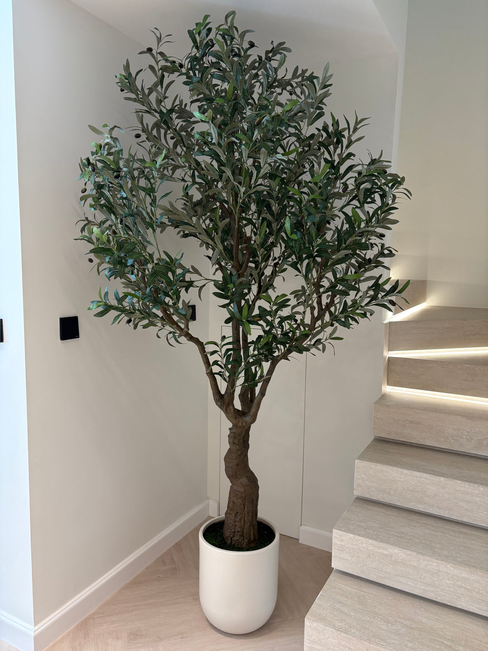 Artisan Olive Tree