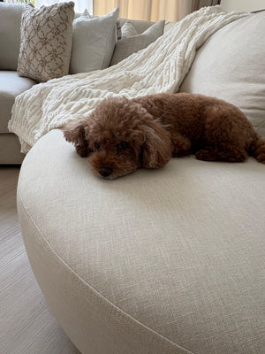 Broadway Sofa