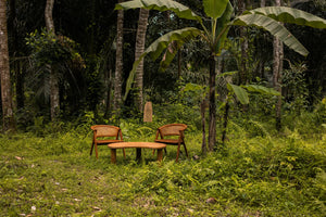 Zora Irregular Shape Coffee Table Teak wood