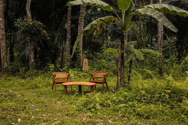 Zora Irregular Shape Coffee Table Teak wood